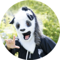top_img_panda